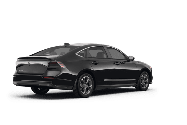 Honda Accord  - Back view Honda Accord  - Back view